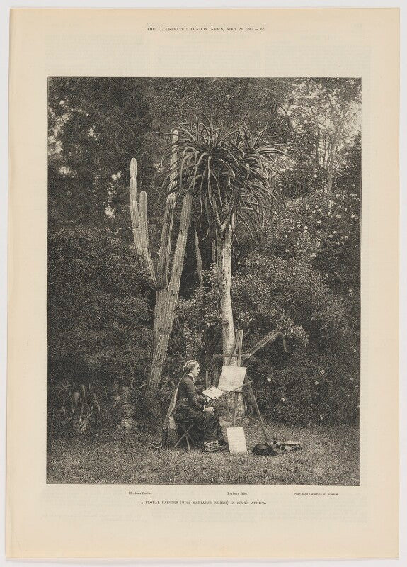 Marianne north npg d42434