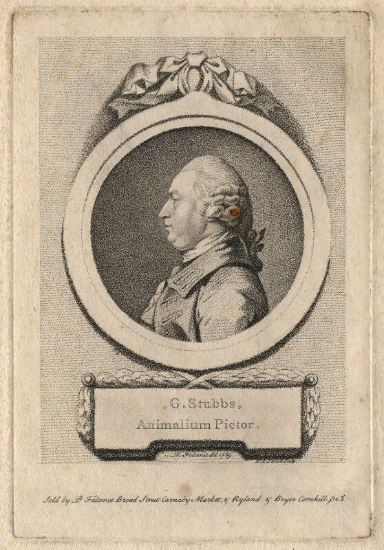 George stubbs npg d6883