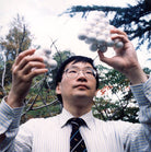 Wilson Che Kei Poon NPG x126356