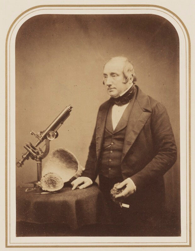 James scott bowerbank npg p106(4)