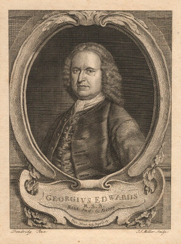 George edwards npg d8918