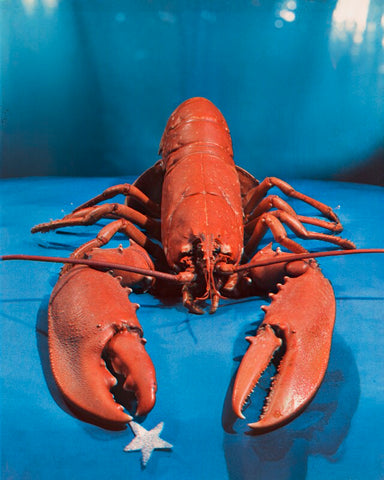 Lobster NPG x221940