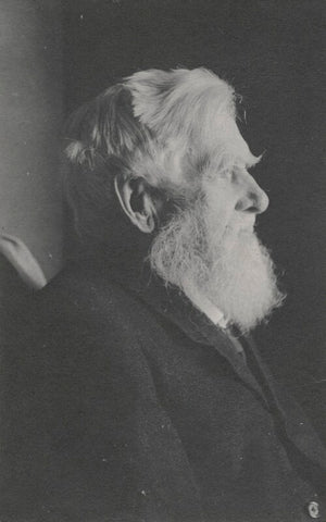 Alfred Russel Wallace NPG x5118