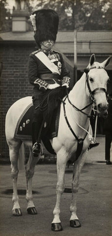 John Denton Pinkstone French, 1st Earl of Ypres NPG x27570