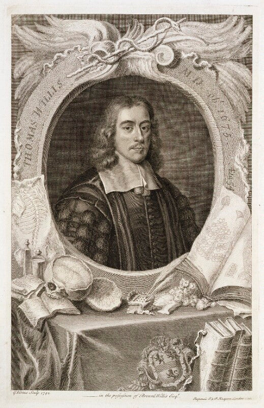 Thomas willis npg d19738