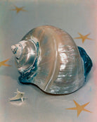 Shell NPG x221972