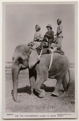 'H.M. The King-Emperor's Shoot in Indian Jungle' NPG x193180