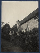 'Garsington' NPG Ax141608