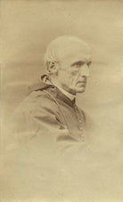 Henry Edward Manning NPG x21207