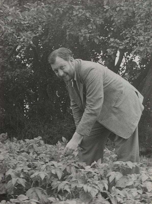 Keidrych rhys npg x131173