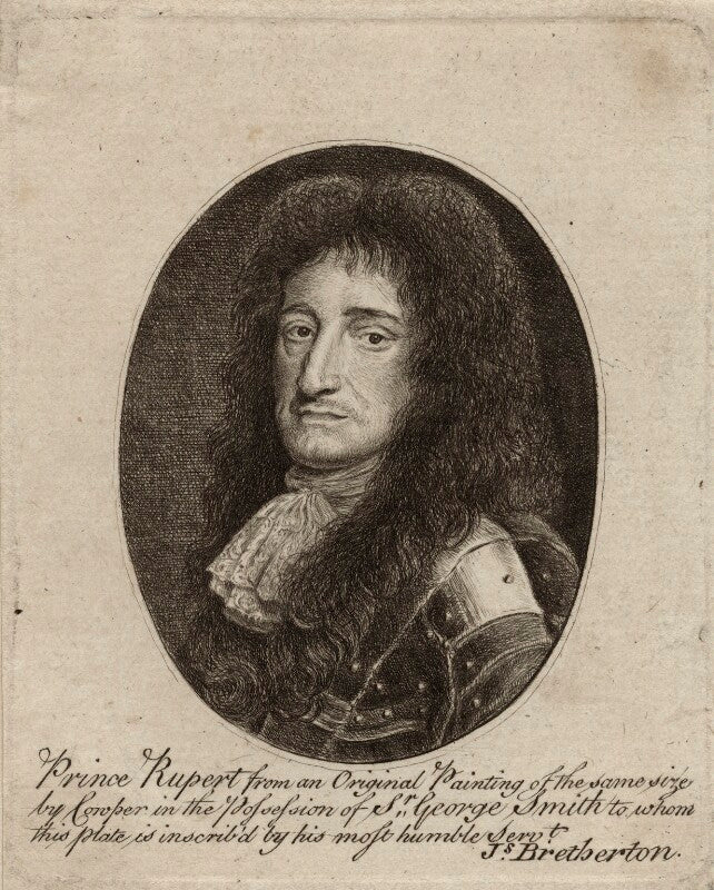 Prince rupert, count palatine npg d26479