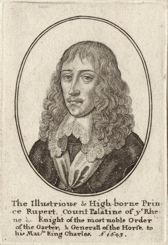 Prince rupert, count palatine npg d26477