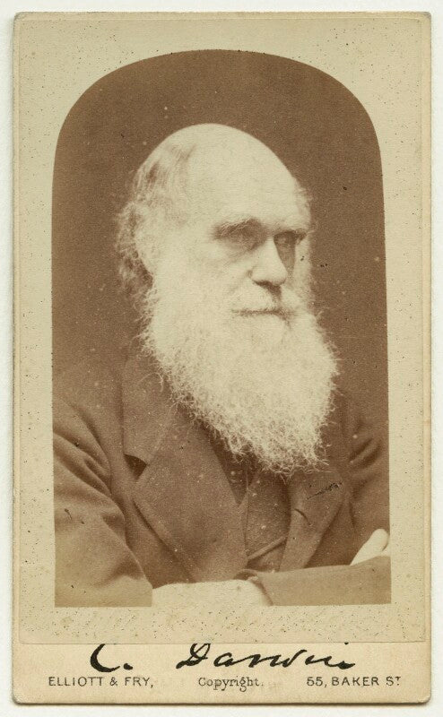 Charles darwin npg x5934