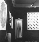 Bridget Riley NPG x13795