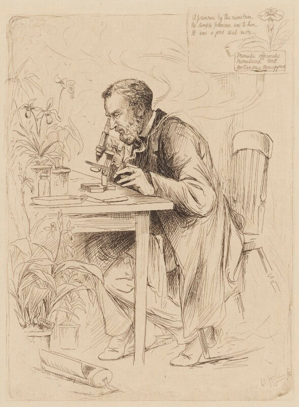 Alexander dickson npg d35178