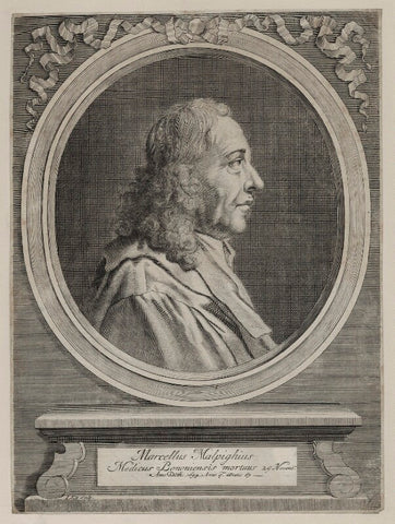 Marcello Malpighi NPG D30760