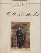 Alexander Alexander Ionides NPG Ax57050