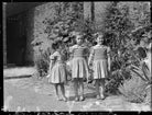 Hon. Brigid Gabriel Menuhin (née Forbes-Sempill); Hon. Kirstine Elizabeth de Daranyi (née Forbes-Sempill); Hon. Janet Cecilia Forbes-Sempill NPG x98005