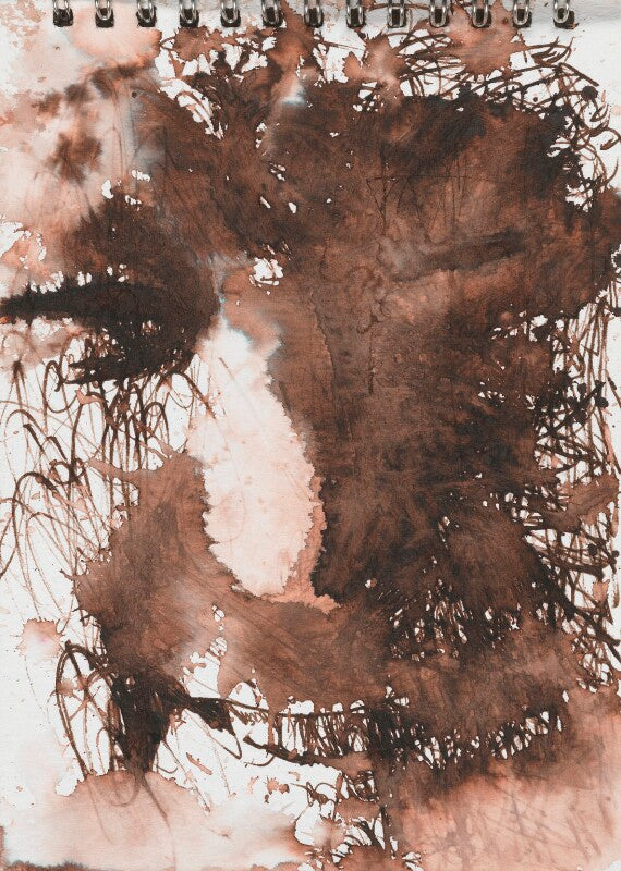 Seamus heaney npg 6262(12)