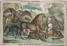Natural History. Royal Zoological Gardens NPG D48795