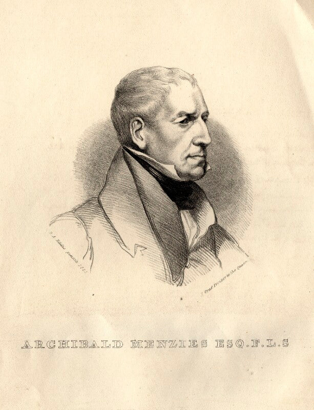Archibald menzies npg d10805