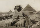 Cairo NPG Ax183294