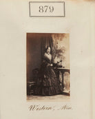 Miss Western NPG Ax50471