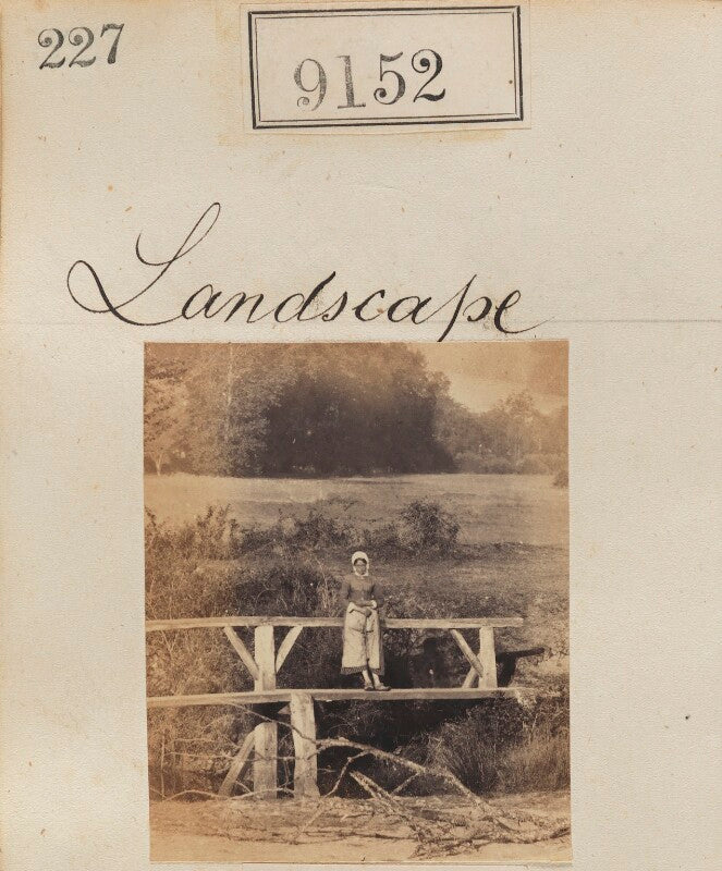 'landscape' npg ax58974
