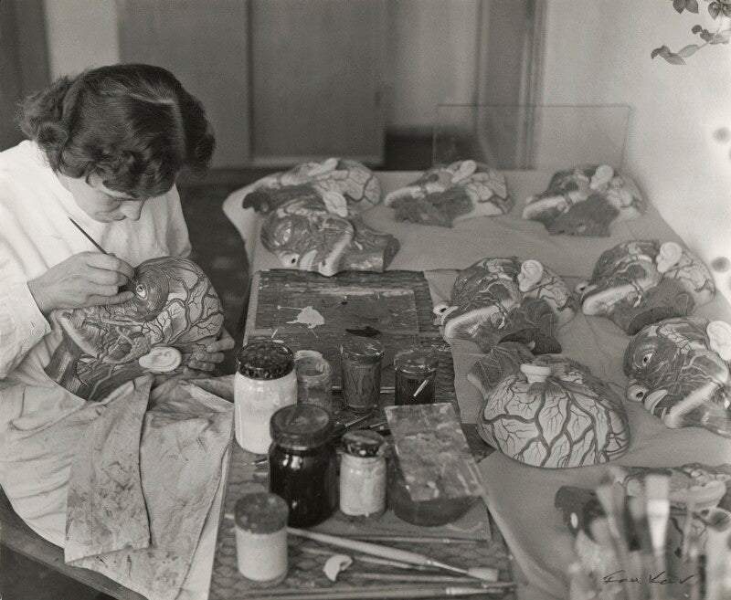 Deutsches hygiene museum, dresden npg x133268