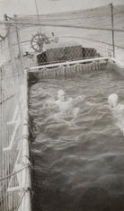 Winston Churchill; Clementine Ogilvy Spencer-Churchill (née Hozier), Baroness Spencer-Churchill NPG Ax183143