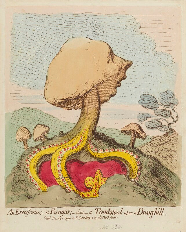 William pitt ('an excrescence;   a fungus;   alias   a toad stool upon a dung hill') npg d12435
