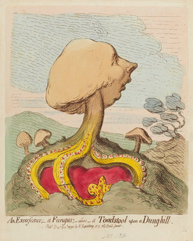 William Pitt ('An excrescence; - a fungus; - alias - a toad-stool upon a dung-hill') NPG D12435