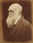 Charles Darwin NPG P8
