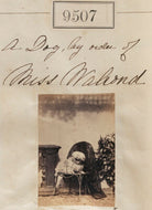 A dog by order of Miss Walrond NPG Ax59315