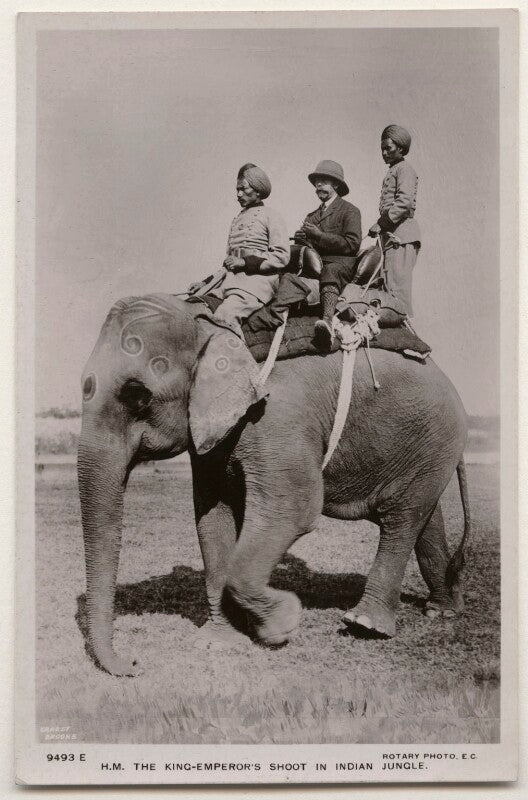 'h.m. the king emperor's shoot in indian jungle' npg x193180