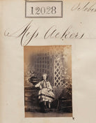 Miss Ackers NPG Ax61705