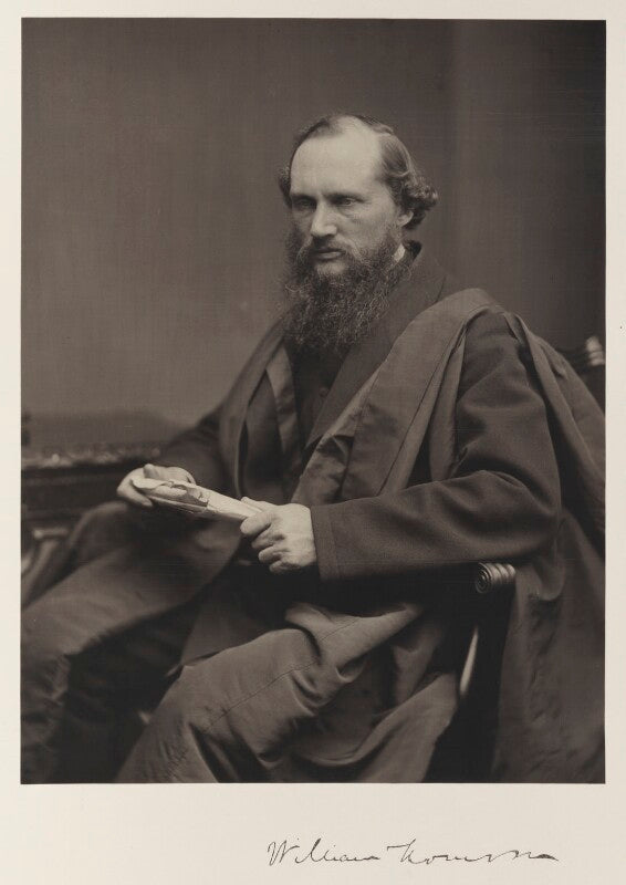 William thomson, baron kelvin npg ax27841