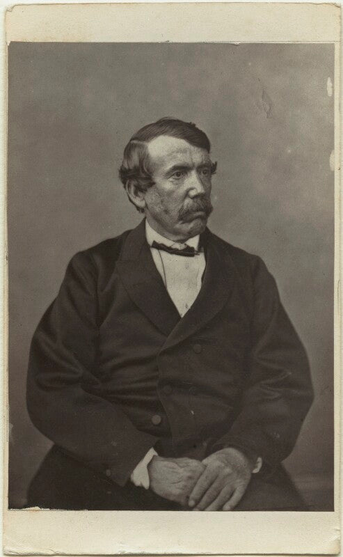 David livingstone npg x76181