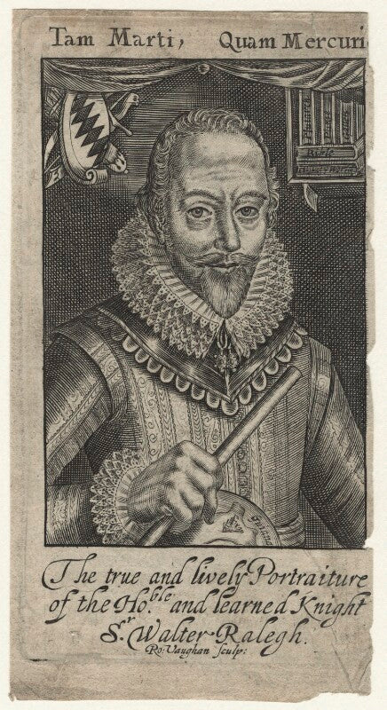 Sir walter ralegh (raleigh) npg d21170