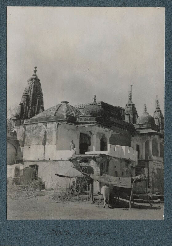 'sangenar' npg ax143815