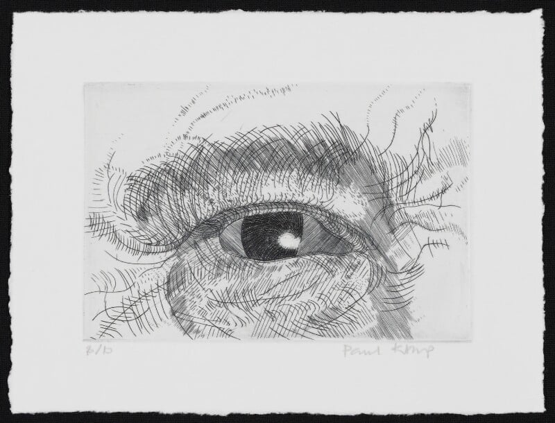 Engraving of an eye npg d49612