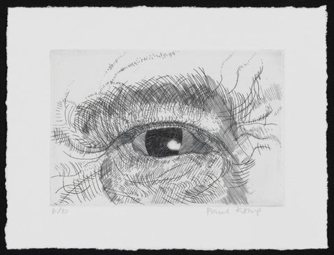 Engraving of an eye NPG D49612