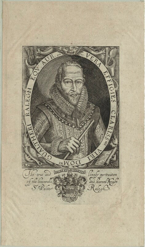 Sir walter ralegh (raleigh) npg d25421