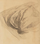 Sleeve study NPG 1054a