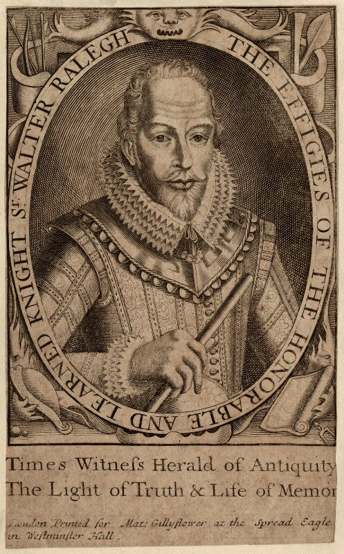 Sir walter ralegh (raleigh) npg d27999