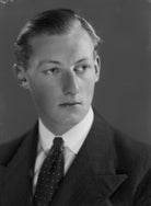 (Frederick) Anthony Hamilton Wills, 2nd Baron Dulverton NPG x155571