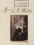 Mrs T.N. Wells NPG Ax63154