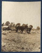 Farm workers NPG Ax140519