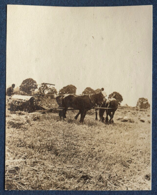 Farm workers npg ax140519