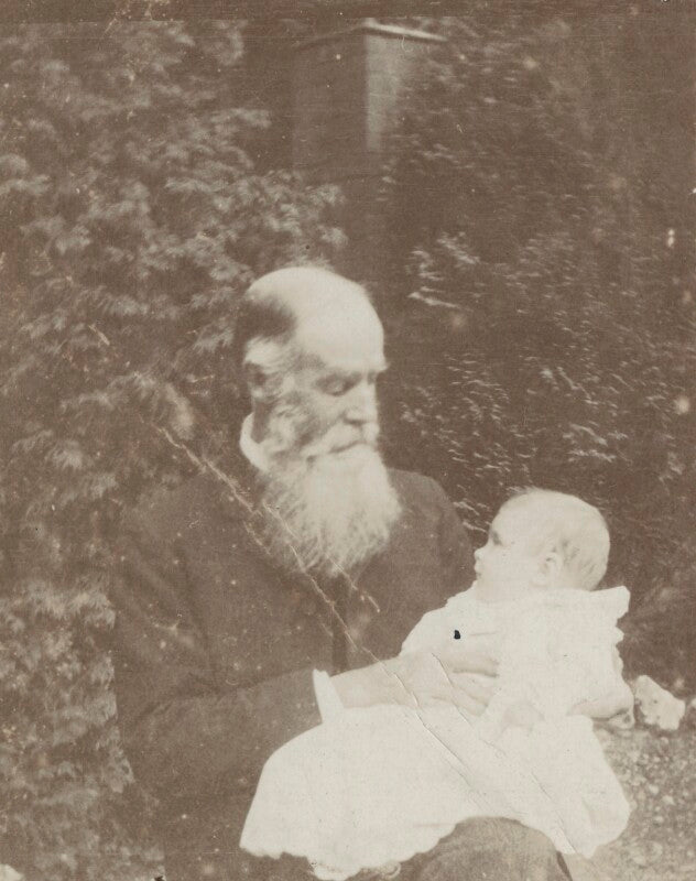 Henry shackleton; edward arthur alexander shackleton, baron shackleton npg x36031